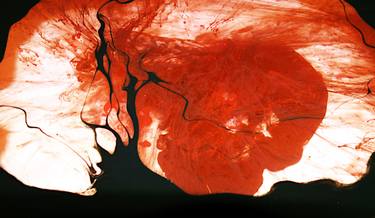 Original Modern Abstract Photography by Ren Wilson