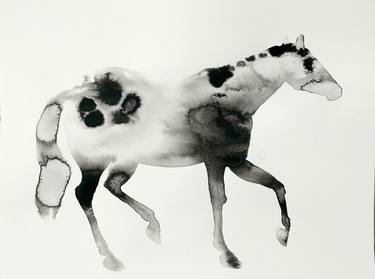 Original Horse Paintings by Marija Čolić