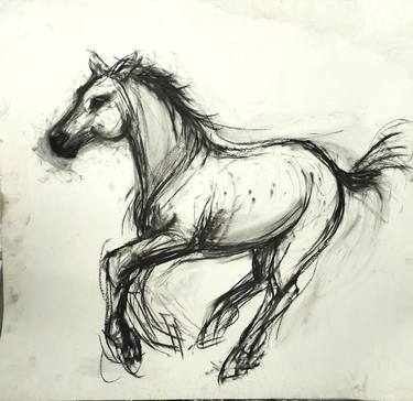 Print of Figurative Horse Drawings by Marija Čolić