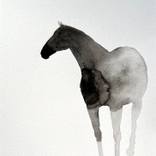 Valkane horse 2025-5 by Marija Čolić