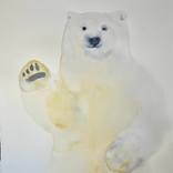 Smiling Polar Bear by Marija Čolić