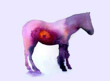 Original Fine Art Horse Paintings by Marija Čolić