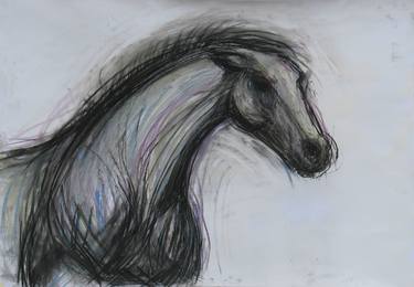 Original Fine Art Horse Drawings by Marija Čolić