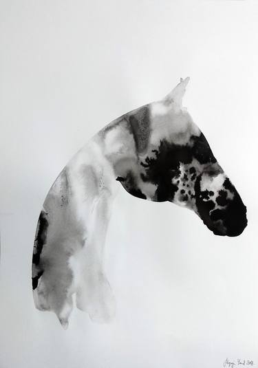 Appaloosa Horse Portraiture thumb