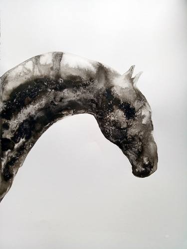 Original Abstract Horse Paintings by Marija Čolić