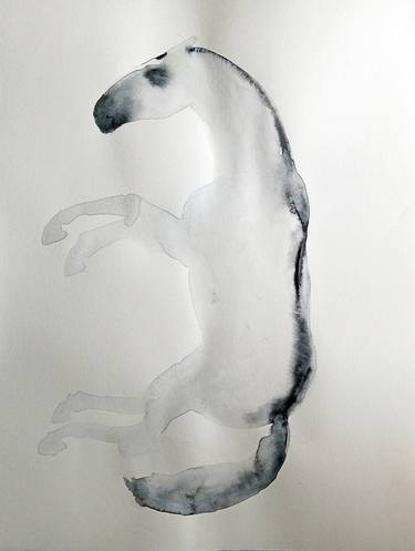 Original Animal Paintings by Marija Čolić