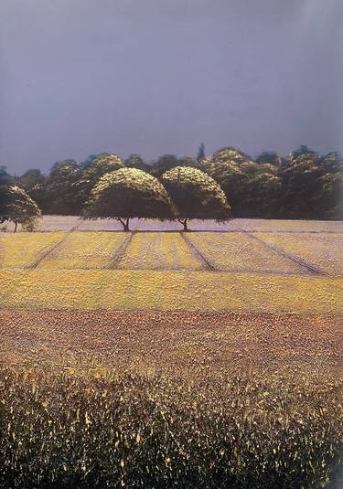 Original Landscape Paintings by Simon Jones