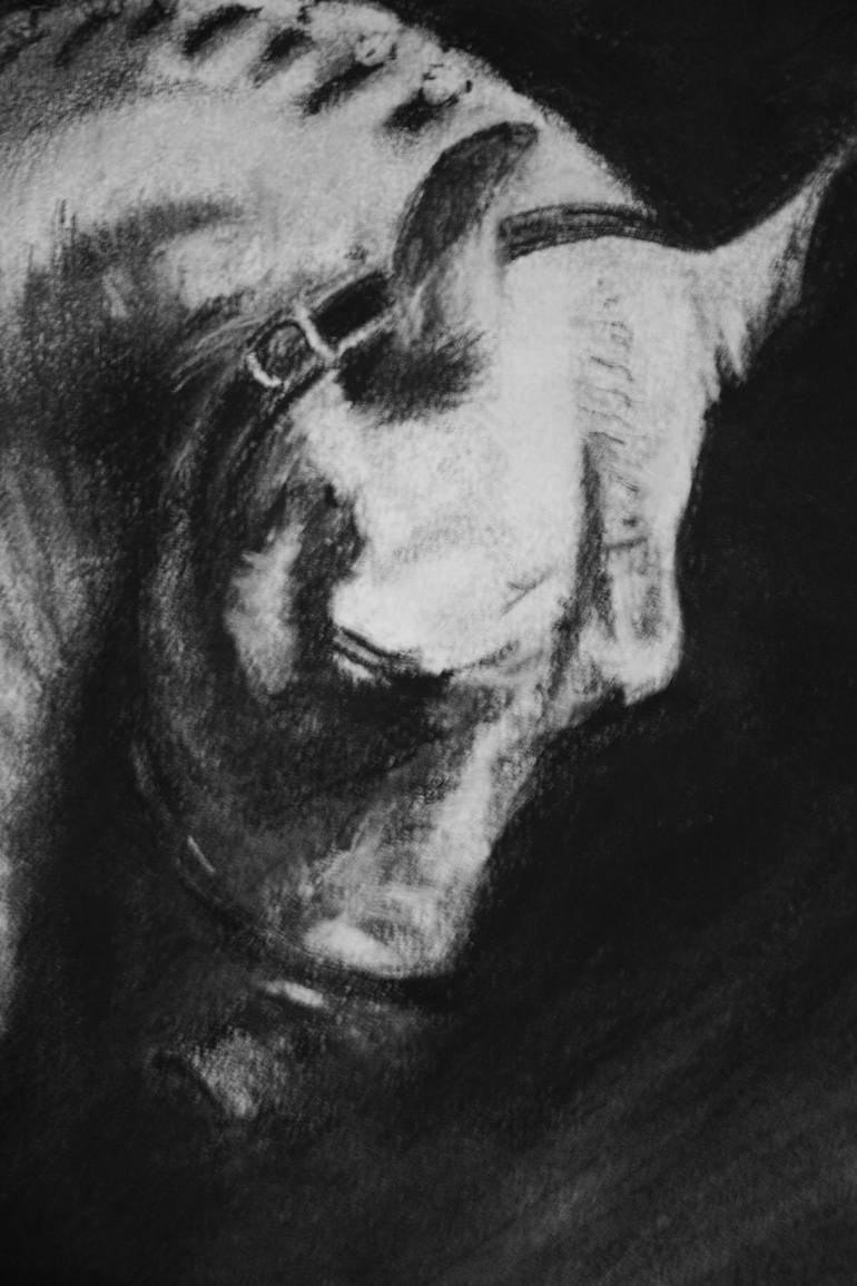 Original Fine Art Horse Drawing by Simon Jones