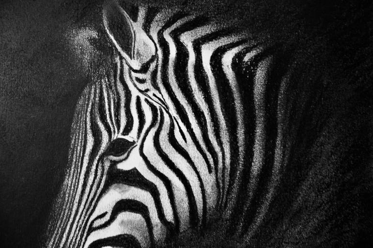 Original Animal Drawing by Simon Jones