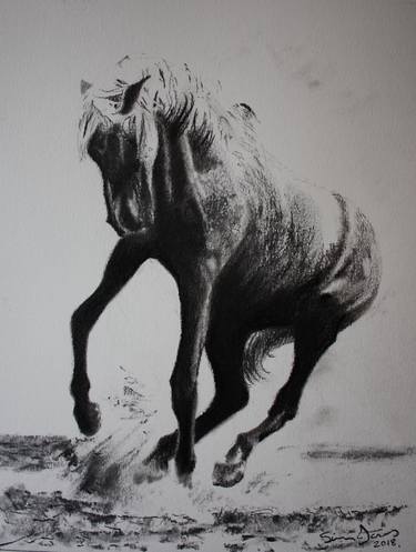 Original Horse Drawings by Simon Jones