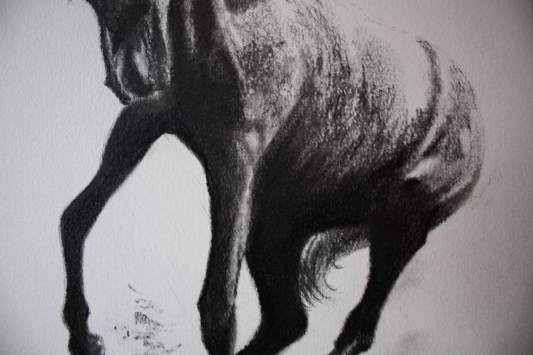 Original Fine Art Horse Drawing by Simon Jones