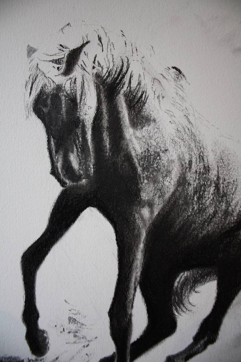 Original Horse Drawing by Simon Jones