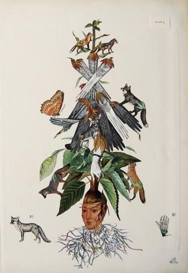 Print of Dada Botanic Collage by Katie McCann