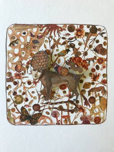 Print of Fine Art Nature Collage by Katie McCann