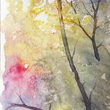 Silent Branches by Francesco Pellerano