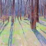 Spring in the Forest by Aleksandr Kryushyn