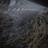 Hidden threads ,Stokksnes ,Iceland by David Leslie Smith