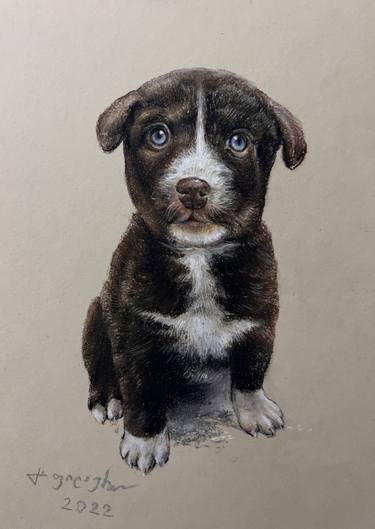 Original Realism Animal Drawings by Gela Philauri