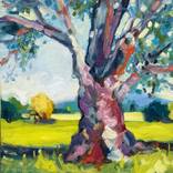 Old Gum Tree 2 by Clair Bremner