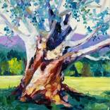 Old Gum Tree 1 by Clair Bremner