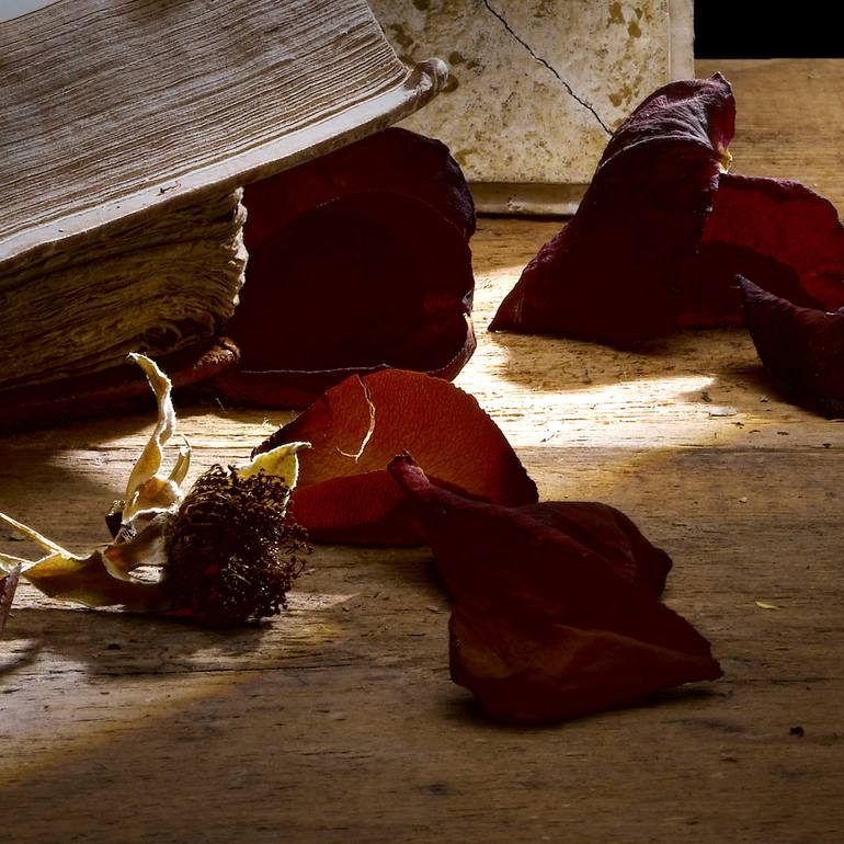 Original Conceptual Still Life Photography by Heinz Baumann