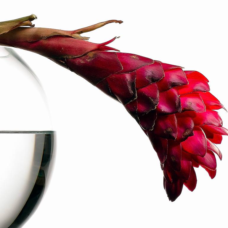 Original Minimalism Still Life Photography by Heinz Baumann