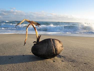 Print of Fine Art Nature Photography by Alexander Acosta Osorio