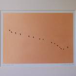 Collection Screenprints