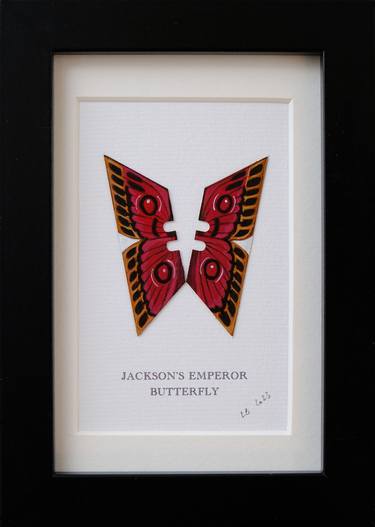 Jackson's Emperor Butterfly thumb