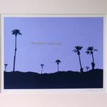 Collection Midnights