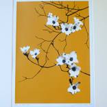 In the wind (gold) by Lene Bladbjerg