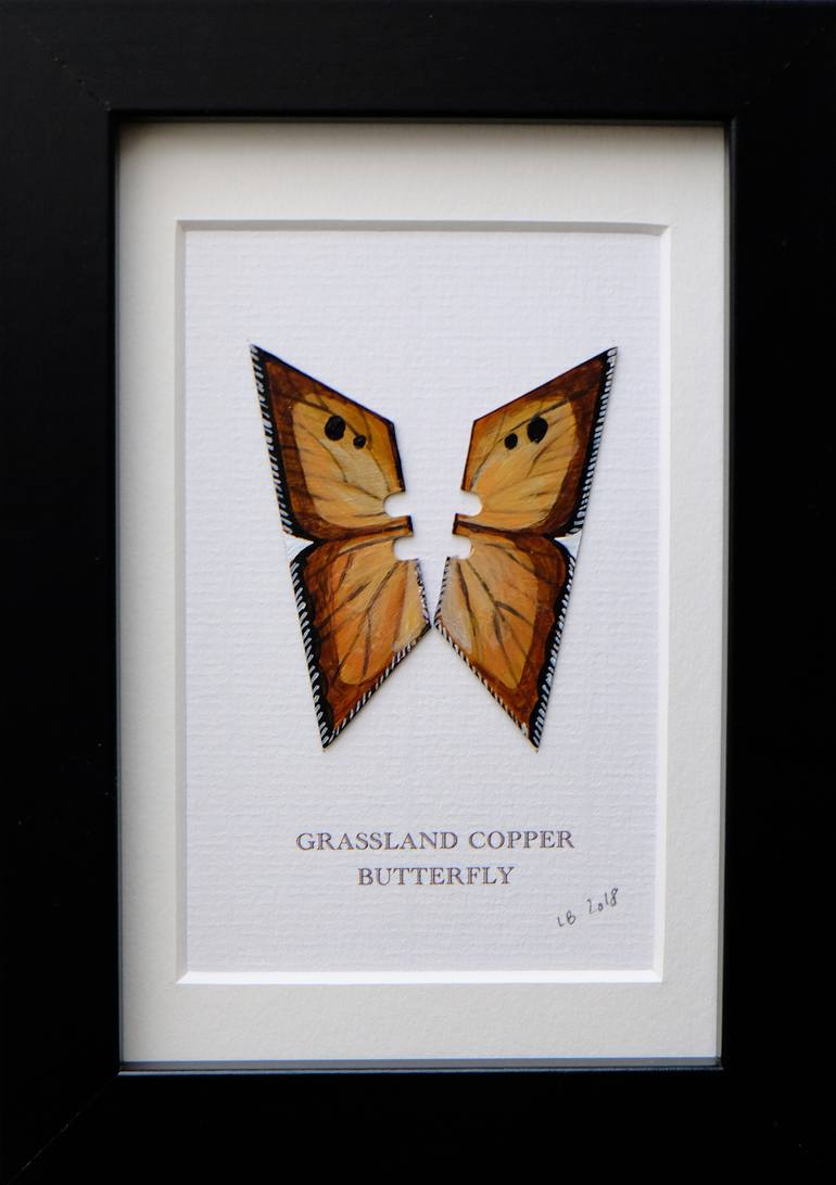 Grassland Copper Butterfly