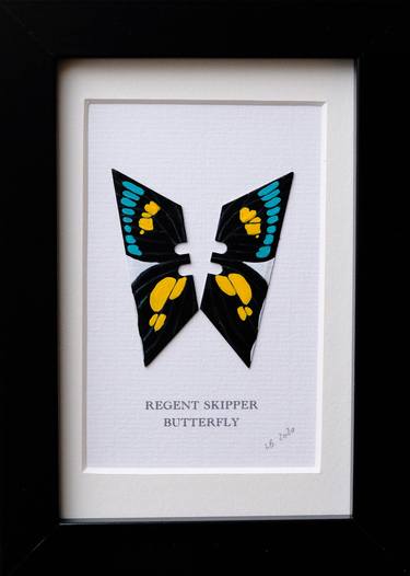 Regent Skipper Butterfly thumb