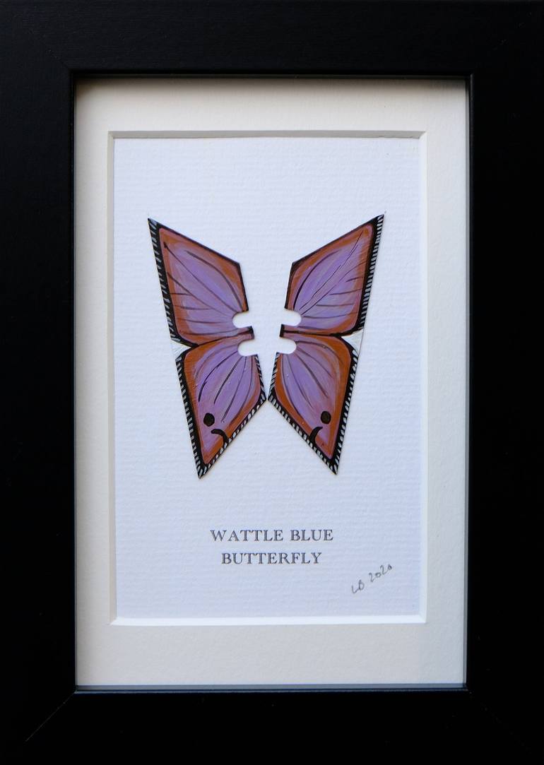 Wattle Blue butterfly