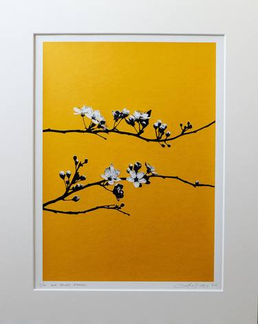 Original Botanic Printmaking by Lene Bladbjerg