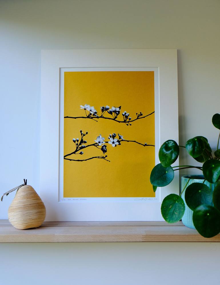 Original Fine Art Botanic Printmaking by Lene Bladbjerg