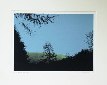 Original Landscape Printmaking by Lene Bladbjerg