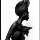Silhouette and Form by Shelly Mosman