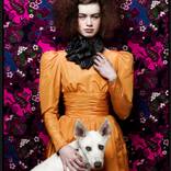 Vibrant Symbiosis by Shelly Mosman