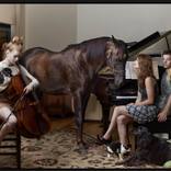 Horse in Living Room by Shelly Mosman