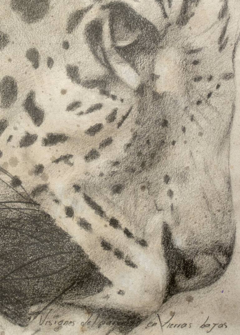 Original Animal Drawing by RENE GOMEZ OME