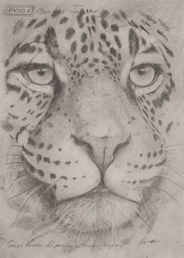 Print of Animal Drawings by RENE GOMEZ OME