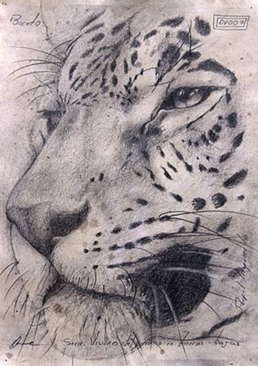 Original Figurative Animal Drawings by RENE GOMEZ OME