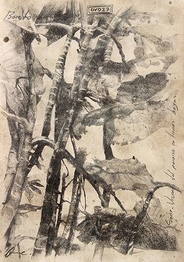 Original Nature Drawing by RENE GOMEZ OME