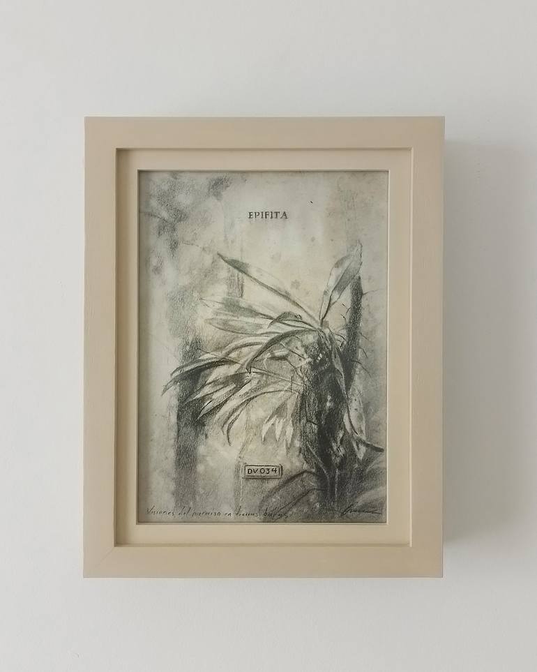 Original Figurative Nature Drawing by Rene Gomez Ome