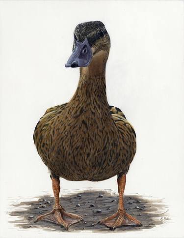 Original Realism Animal Paintings by Colin Slater