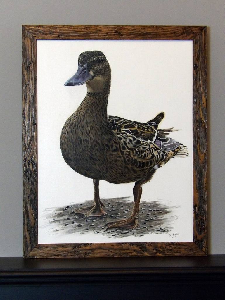 Original Realism Animal Painting by Colin Slater