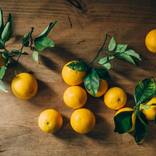 Oranges - Limited Edition 1 of 20 by Michael Alex Weber