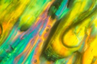 Print of Abstract Science Photography by Kay Noire