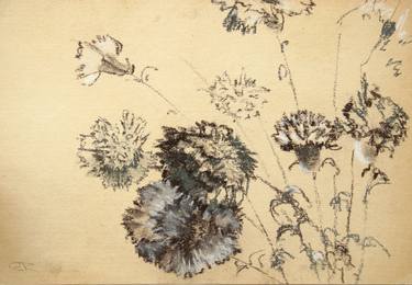 Print of Floral Drawings by Gorszky Roxána